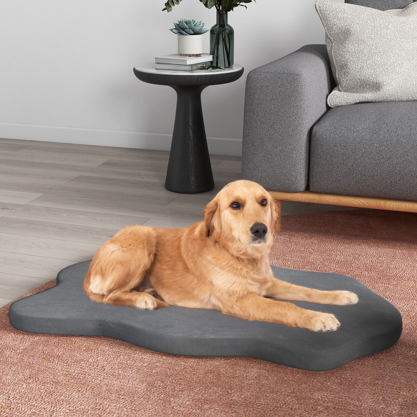 Large Dog Bed with Memory Foam Support and Removable Cover