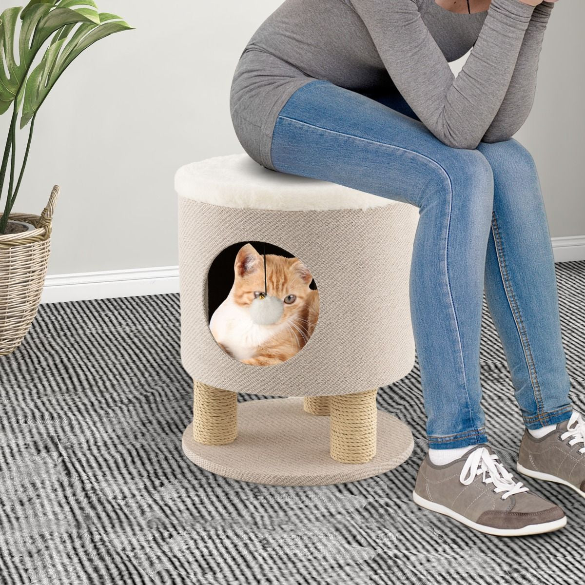 Cat Condo Stool for Indoor Cats with Scratching Posts and Plush Ball Toy