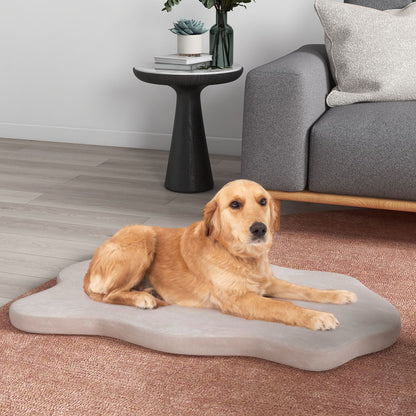 Large Dog Bed with Memory Foam Support and Removable Cover